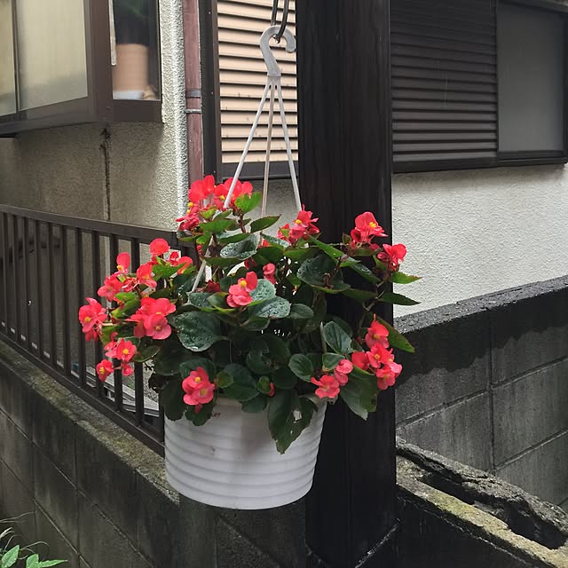 Harumiさんの実例写真