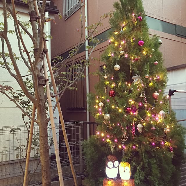 ytkさんの実例写真