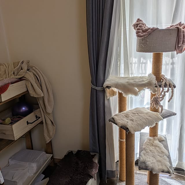 asaさんの実例写真