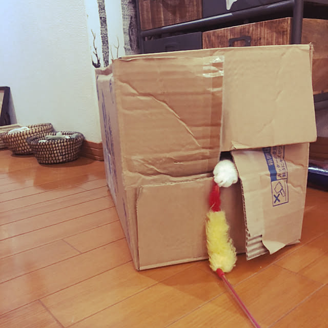jijiさんの実例写真