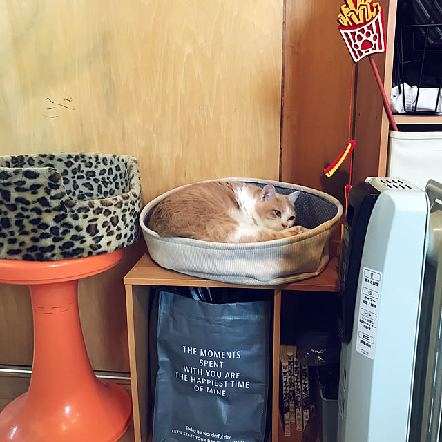kou-kitiさんの実例写真