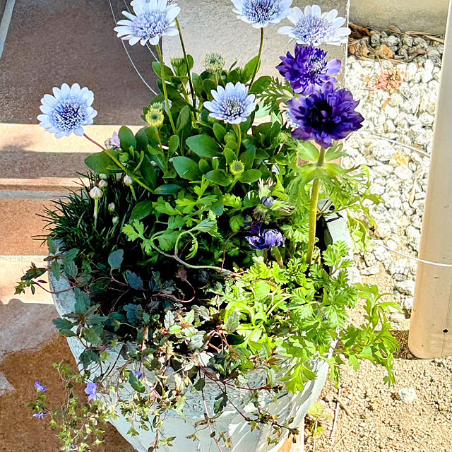 koereeさんの部屋