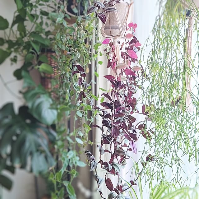 YuriYuriさんの部屋