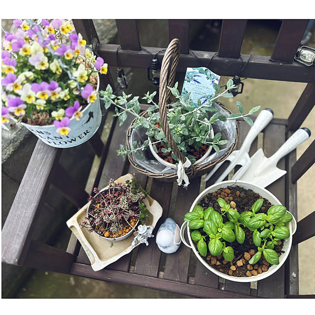 CoCo0617さんの部屋