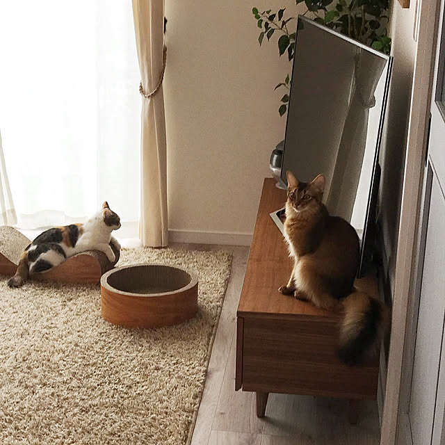 puniyumiさんの実例写真