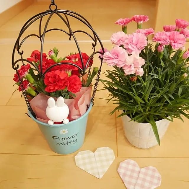 merciさんの部屋