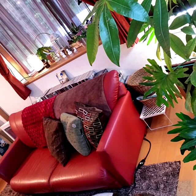 Shinobuさんの実例写真
