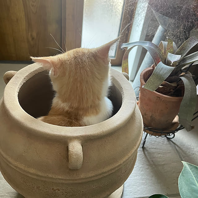 miniさんの部屋