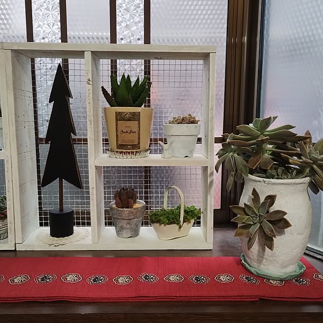 Doryさんの部屋