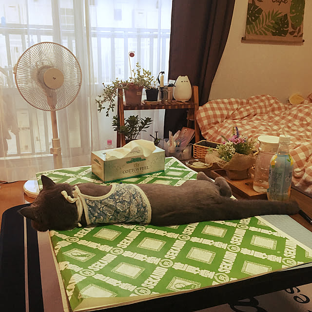 Pamさんの実例写真