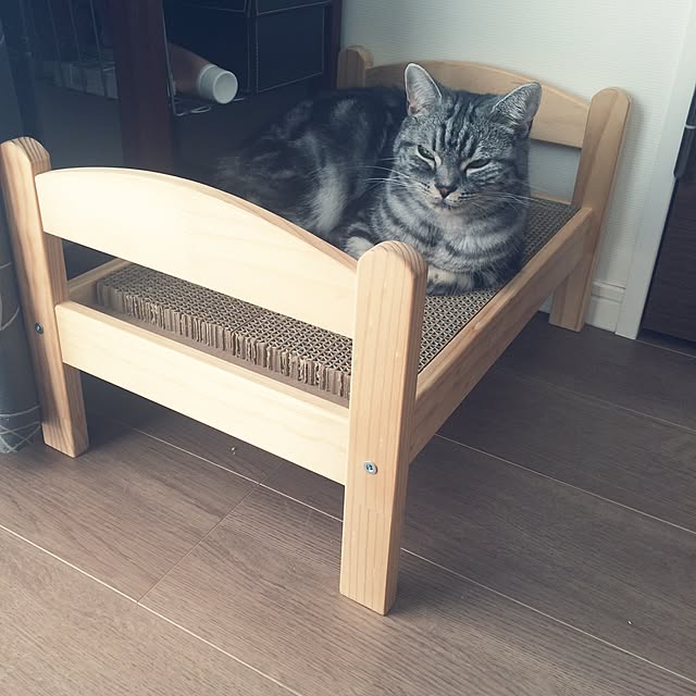 mikomaruさんの実例写真