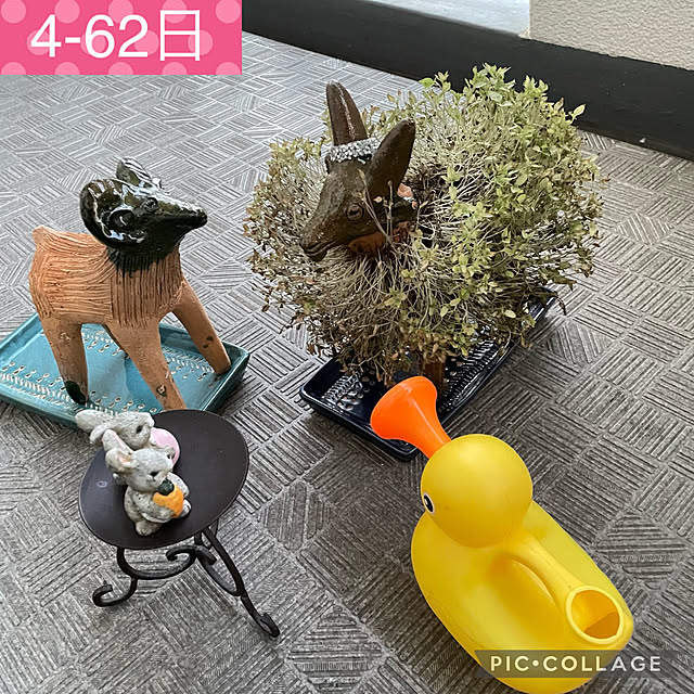 aureaさんの実例写真