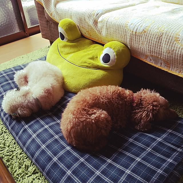 moon7662さんの実例写真