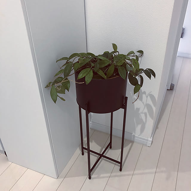 ririchanさんの実例写真
