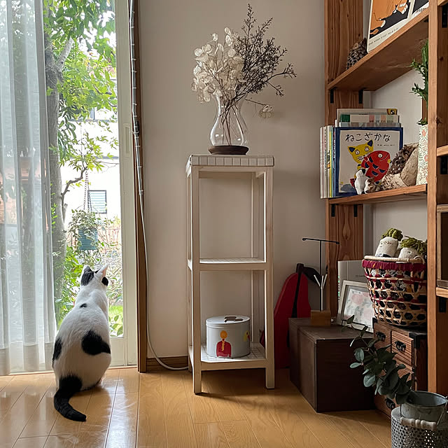 nobikoさんの部屋