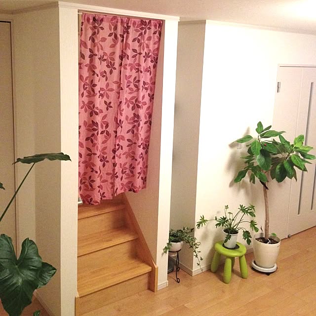 dicekbeetleさんの実例写真