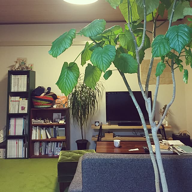 su-su-ha-さんの実例写真