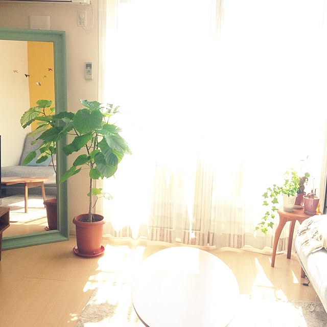 shimikoさんの実例写真