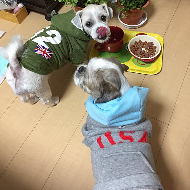 emiさんの実例写真