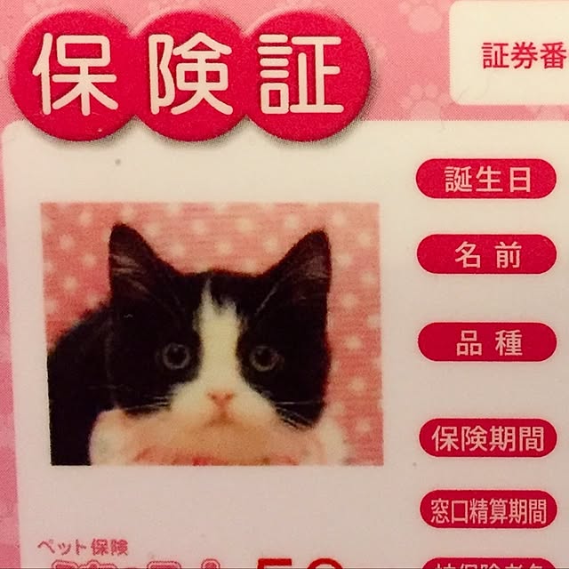 butachanさんの実例写真