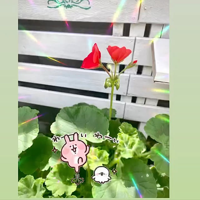 YuuKoさんの実例写真