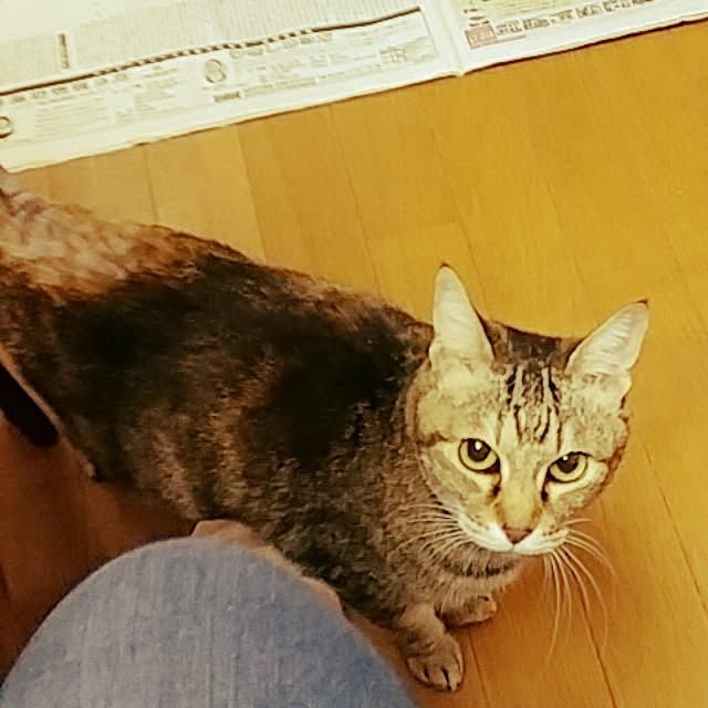 nontenrunさんの実例写真
