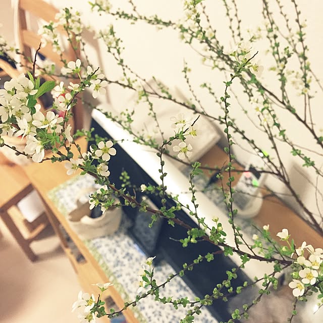 Kaoriさんの実例写真