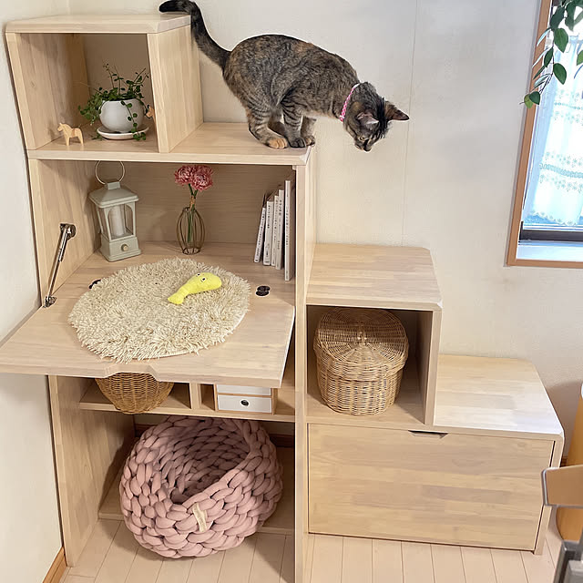 chinaさんの部屋