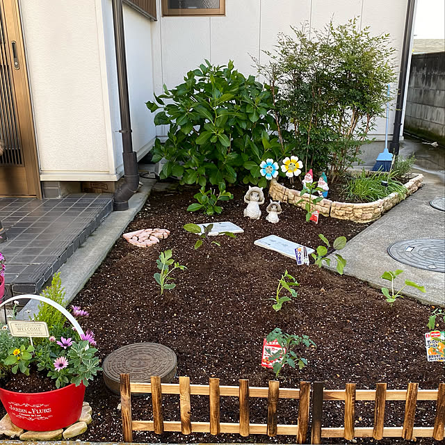 オクラ栽培中/パプリカ栽培中/茄子栽培中/きゅうり栽培中/ミニトマト栽培中...などのインテリア実例 - 2022-05-04 08:52:53