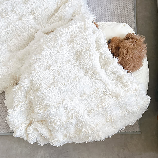 cocoaさんの部屋