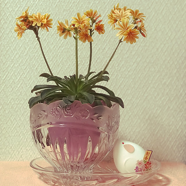 fuyiqian1026さんの実例写真