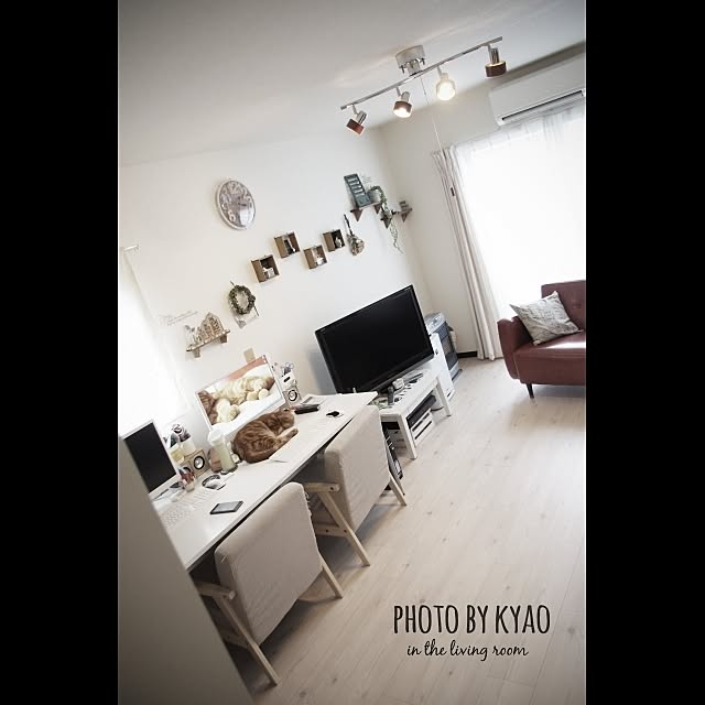 部屋全体/二人暮らし/ねこのいる風景/賃貸のインテリア実例 - 2014-08-04 21:59:11