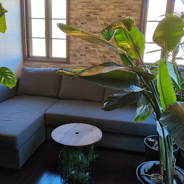 milkyさんの実例写真