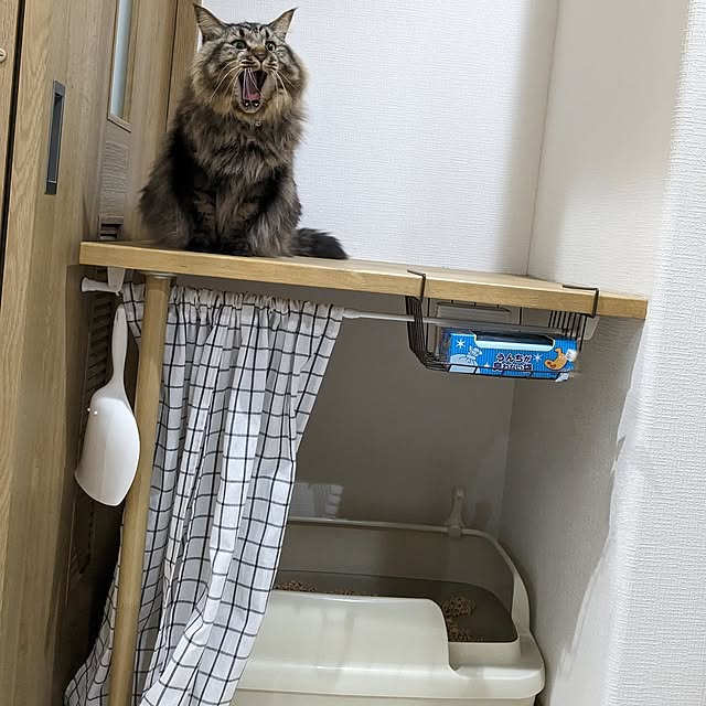 sayan_0321さんの実例写真