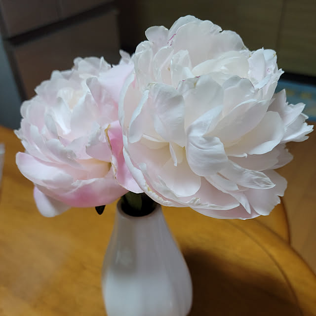 chaChachaさんの実例写真