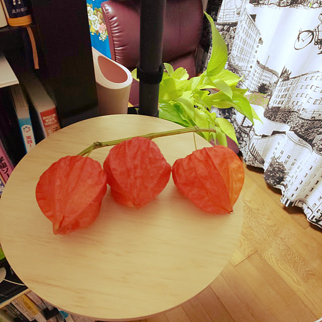 inochanさんの実例写真