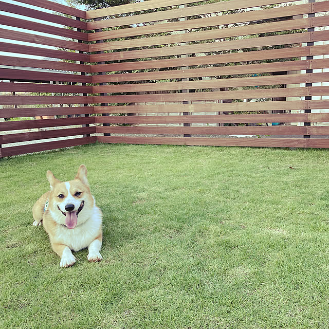 ytnさんの実例写真