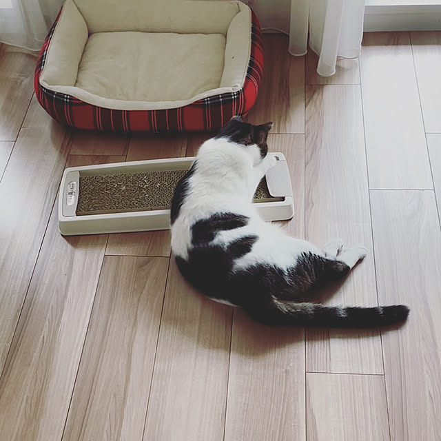 hemukoさんの実例写真