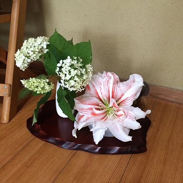 yakkoさんの実例写真