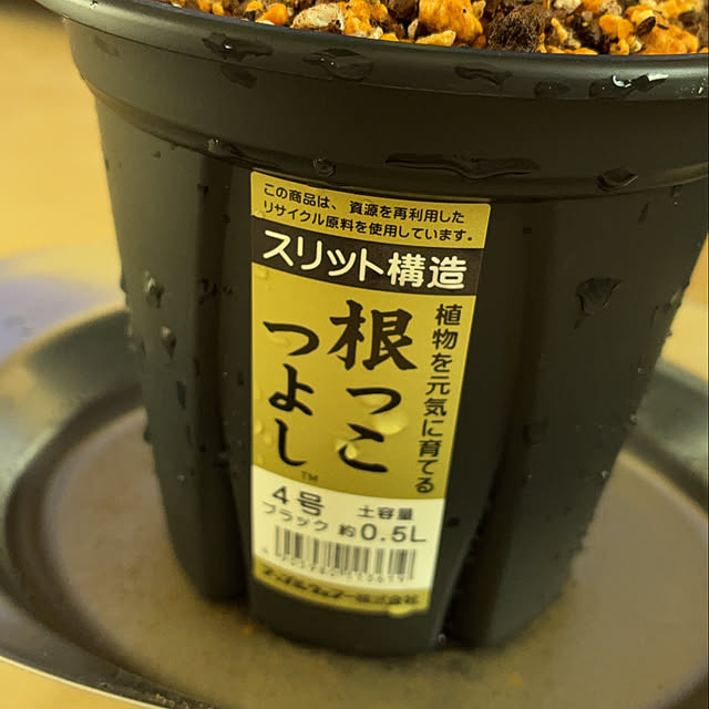 kikiさんの部屋
