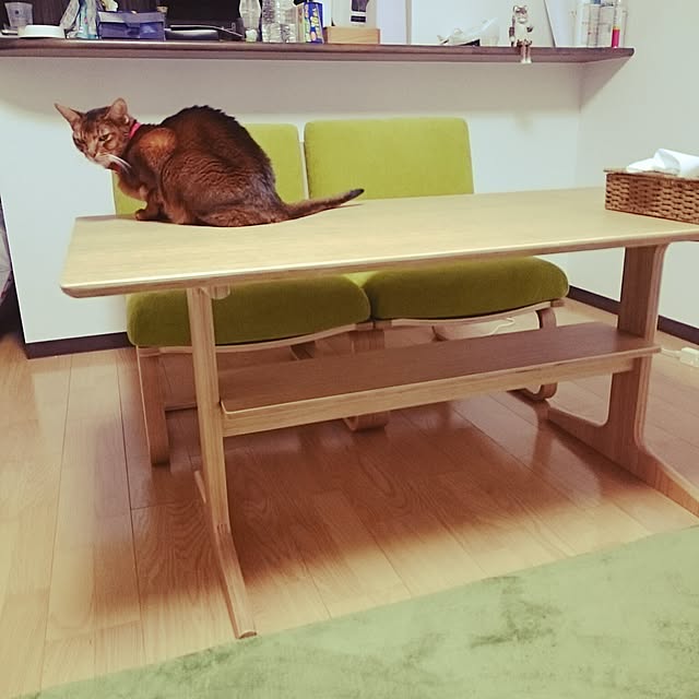 gruenさんの実例写真