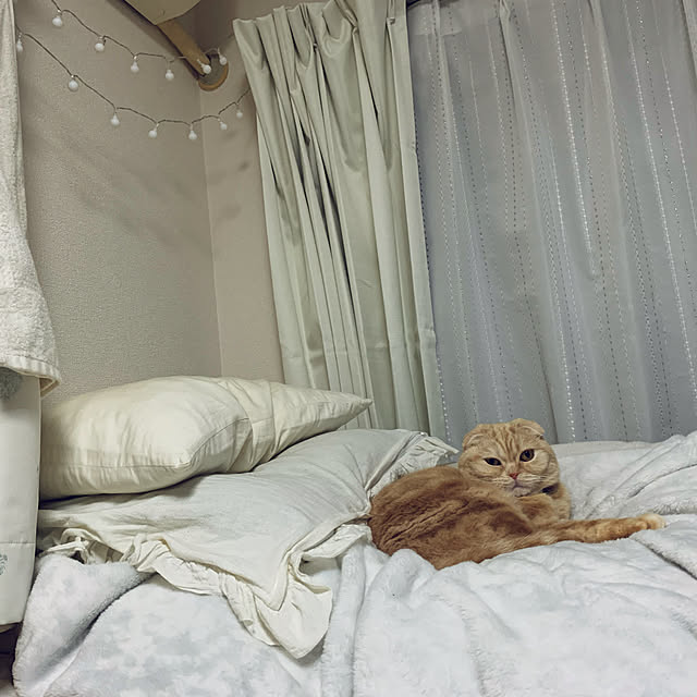 madrigal.Dさんの実例写真