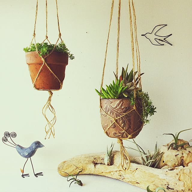 a.mgardenさんの実例写真