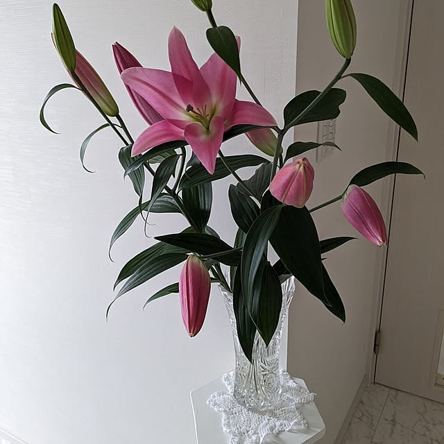 machikomamaさんの実例写真