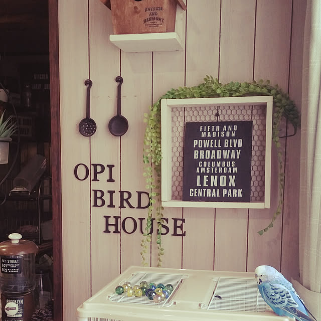 opiopiopiさんの実例写真