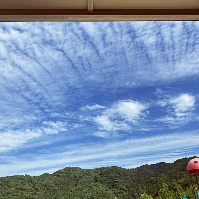 soramamen0123.......さんの実例写真
