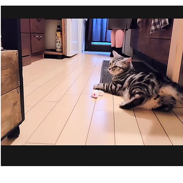 lovepeaceさんの実例写真