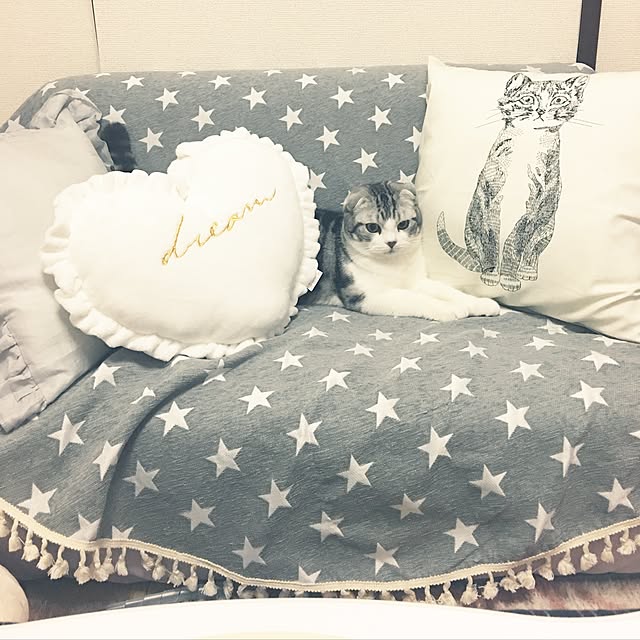 tomommyさんの実例写真