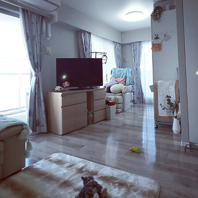 erisavesu4さんの実例写真