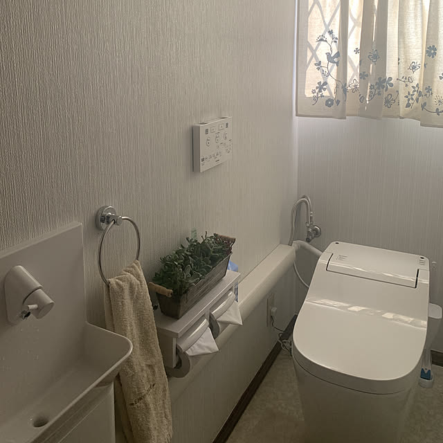 ニトリ/多肉植物/バス/トイレのインテリア実例 - 2019-07-24 08:29:03